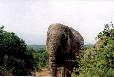 Ingezoomd nog dichter bij, Addo Elefant park