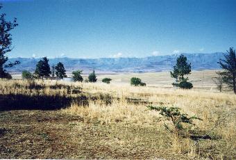 Uitzicht op de Natal Drakensbergen, Bergville