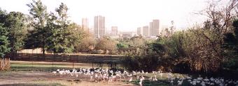 Pretoria Zoo